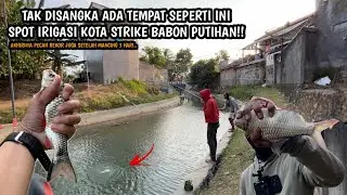 IRIGASI KOTA IKANNYA MALAH BABON BABON SUPER!! Mancing wader selama 3 hari pakai teknik kumbul