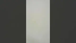 Салом