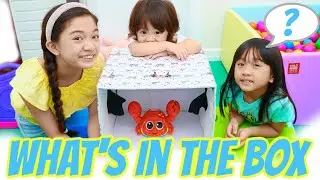 WHAT'S IN THE BOX CHALLENGE