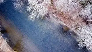 Evening Flight Over Octoraro Creek