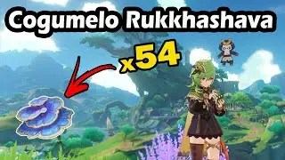 Rota de farm cogumelo rukkhashava - Genshin Impact [ Rukkhashava Mushrooms ]