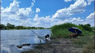 Проста рибалка на річці Дністер. Ловля карася на флет, макушатники. Готую ШАКШУКУ на березі річки