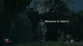 Sekiro: Shadows Die Twice - Funny Moments/Montage - Part 2