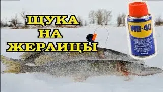 ЩУКА НА ЖЕРЛИЦЫ НА WD-40. Я НЕ ОЖИДАЛ ТАКОГО РЕЗУЛЬТАТА.