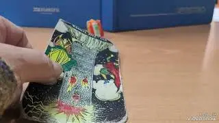 messaggio importante. ascota