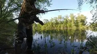 Ротан больше карася. Весенняя рыбалка.