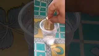 New tricks u try it 🤯💡 #newexperiment #experment #newshorts #ideas #science