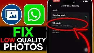 How to Send High-Quality Photos on WhatsApp