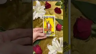 Обзор колоды Таро за 1 минуту ☘️The Rider Tarot Deck☘️Знаменитая  «Желтая Коробка» от USGames.