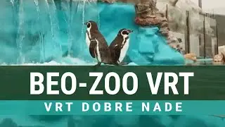 ZOO VRT Beograd Vrt dobre nade Kalemegdan