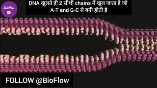 DNA Strands (With Hindi Subtitles)/ DNA Structure/Double helix/Genetics/ Biology/Genetic Information