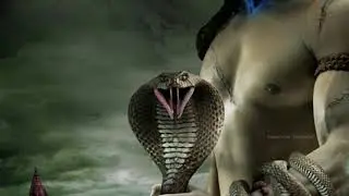 Maha sivaratri whatsapp status||siva sambhu||Bom bole...