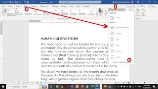 WORD: How to change  Paragraph and Line spacing