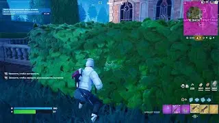 Fortnite_королевская победа🐸