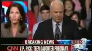 "Sarah Palin sells plane on Ebay"
