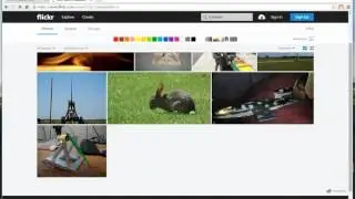How to insert images from Flickr Creative Commons in Moodle