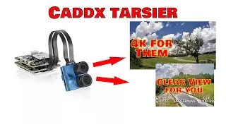 Caddx Tarsier Review | Banggood 13th Anniversary