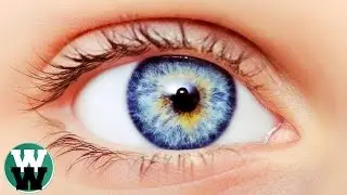 30 Amazing Facts You Didn't Know About The Human Body