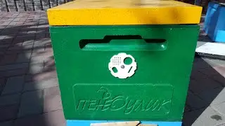 Дезинфекция пеноуликов.
