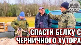 НОВАЯ МИССИЯ КАБАНА ПАНТАЛОНА С ЧЕРНИЧНОГО ХУТОРА.
