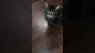 IMG 0571