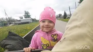 Косим траву / закладываем инкубатор / ПЕНИЕ ПТИЦ