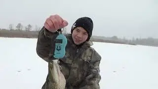 ЛОВЛЯ ЩУКИ  НА ЖЕРЛИЦЫ ВСЕЙ СЕМЬЕЙ ...АЛАДЬИ ИЗ ЩУЧЬЕЙ ИКРЫ!!!
