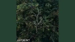 Вакуум