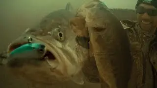 YO-ZURI RATTL'N VIBE MINI'S FIRST SWIM IN THE WILD.  AMAZING UNDERWATER FOOTAGE.