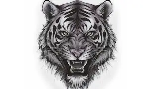 Tiger tattoos ai images prompt | dashhash