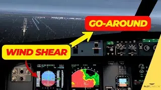 From WINDSHEAR to GO-AROUND - The Importance of the Transition!