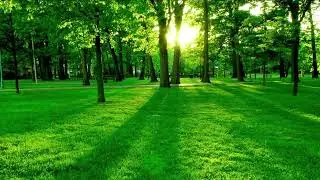 Rest Your Eyes ~ Relax Music