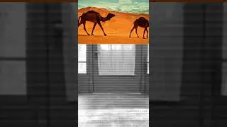 Backwards and Forwards - A Deep Artistic Interpretation ( explanation in description)