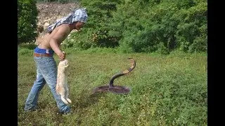 Amazing a man runs to catch a rabbit and meets a snake in cambodia