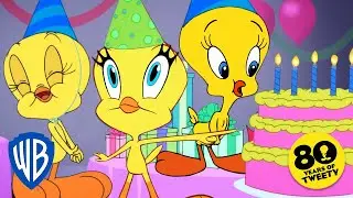 Looney Tunes | Happy Birthday Tweety!💛🎂 | @WB Kids