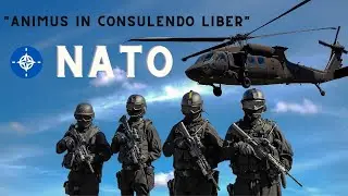 How Quickly can NATO Forces React ? Military Exercise in Romania | NATO Forces | Army Training