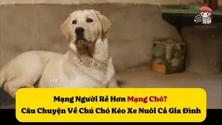 [Review Phim] Chú Chó Bị Bán Đi Để Cứu Chủ Và Cái Kết Lấy Đi Nước Mắt Cả Triệu Người | Thu Vy Review