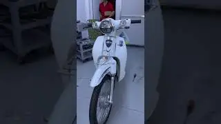 Em gái cá tính chốt Xe Máy 50cc Cub Detech giá hơn 10tr