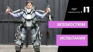 Экзоскелет 