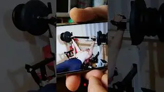 Стойка для штанги и блины для жима лежа при домашних тренировках онлайн