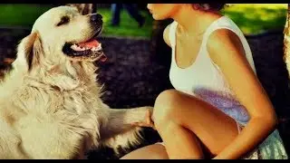 Cute girl playing with cute dog, cute dog