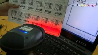 Process of Barcode Scanner to read linear and 2D barcode labels