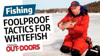 Foolproof Tactics for Winter Whitefish