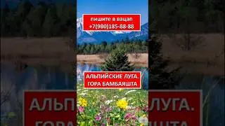 АЛЬПИЙСКИЕ ЛУГА. ГОРА БАМБАЯШТА