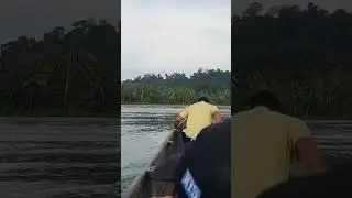 Muara Mapoupou#mentawai#sikakap