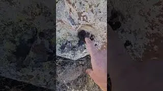 Oyma sunak işareti Hazine mezar odası treasure hunter