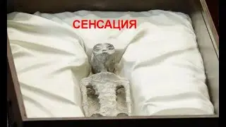 НЛО и откровение нового пророка