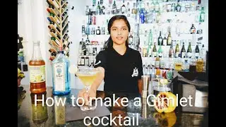 How to Make Gimlet cocktail | Best Mixologist & Flair Bartender | Flair & Mixology Bartending  india
