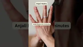 3 Powerful Yoga Hand Mudras for Optimal Health | Powerful Hand Mudras 