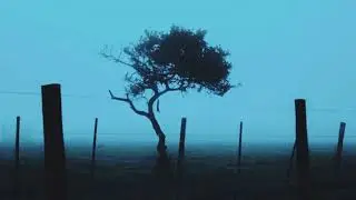 vers - 396aidol (official video)